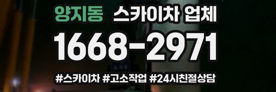 양지동 스카이차 업체