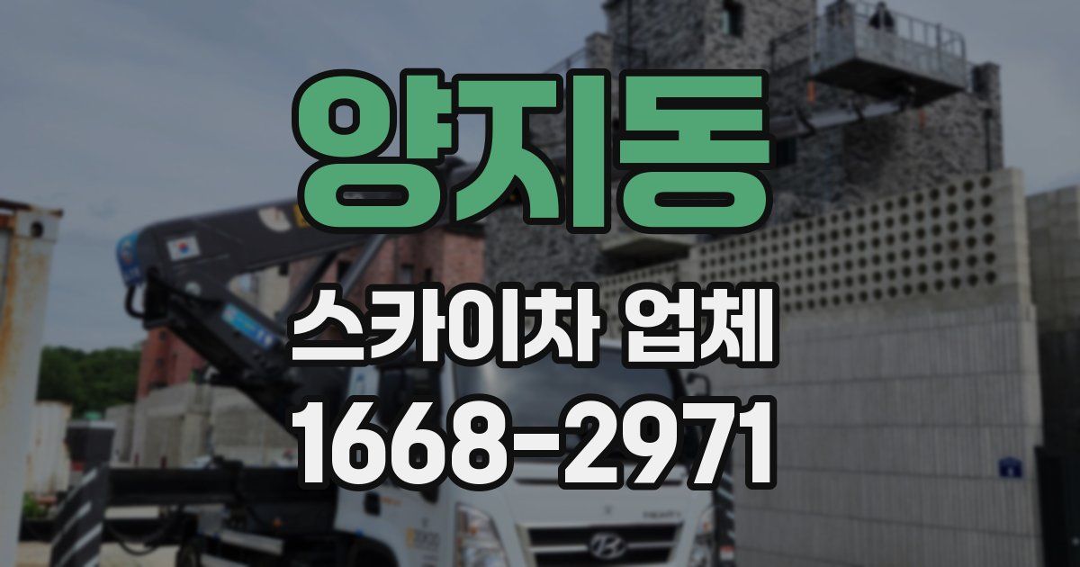 양지동 스카이차 업체