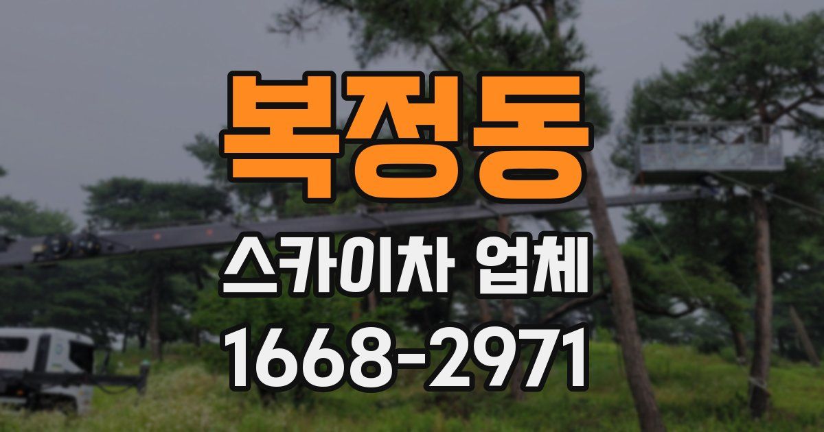 복정동 스카이차 업체