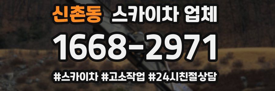 신촌동 스카이차 업체