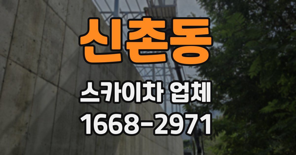 신촌동 스카이차 업체