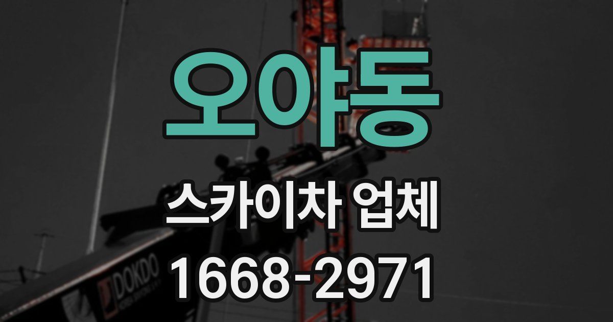 오야동 스카이차 업체