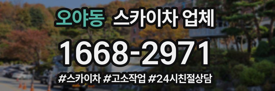 오야동 스카이차 업체