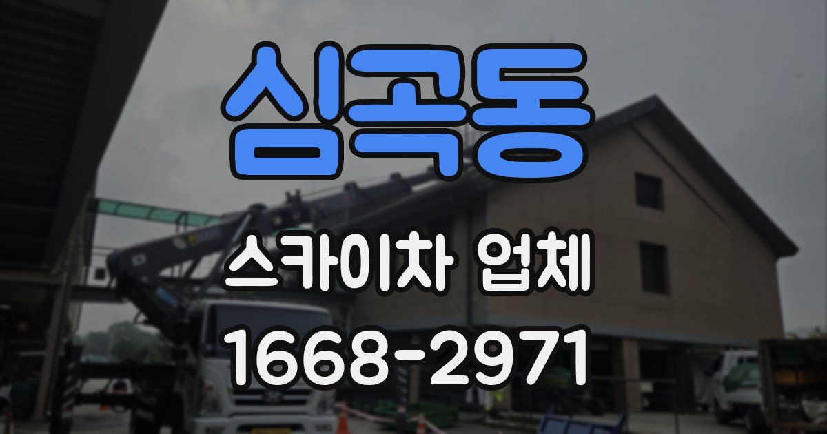 심곡동 스카이차 업체