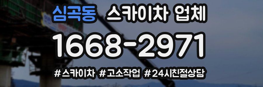 심곡동 스카이차 업체