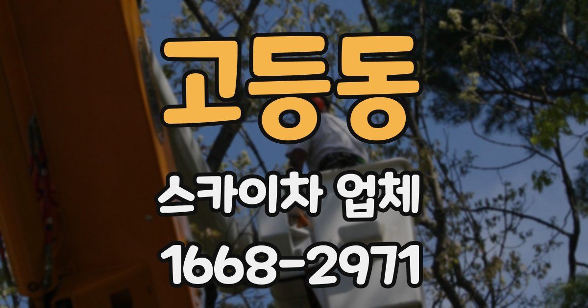 고등동 스카이차 업체