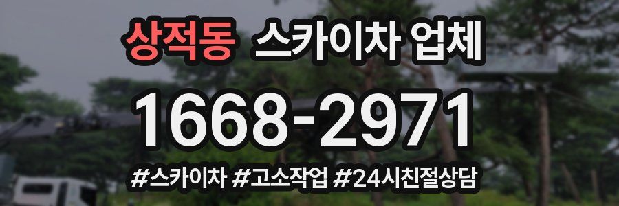상적동 스카이차 업체