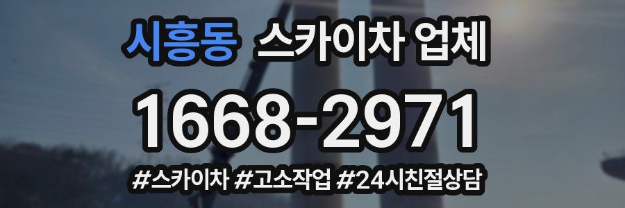 시흥동 스카이차 업체