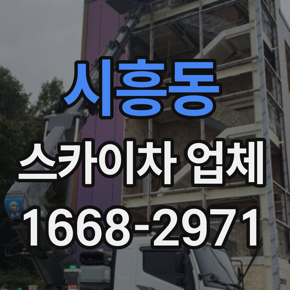 시흥동 스카이차 업체
