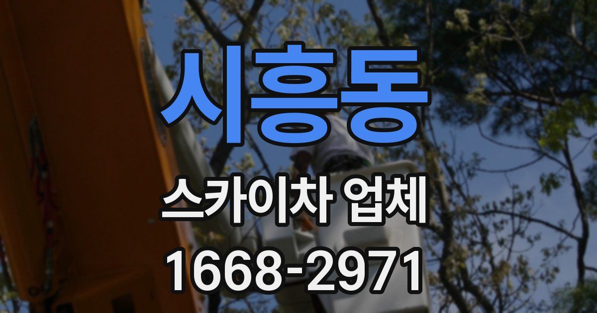 시흥동 스카이차 업체