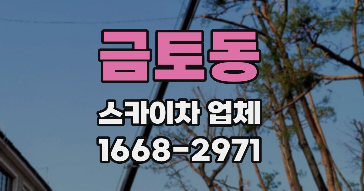 금토동 스카이차 업체