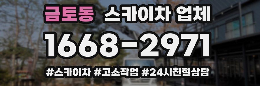 금토동 스카이차 업체