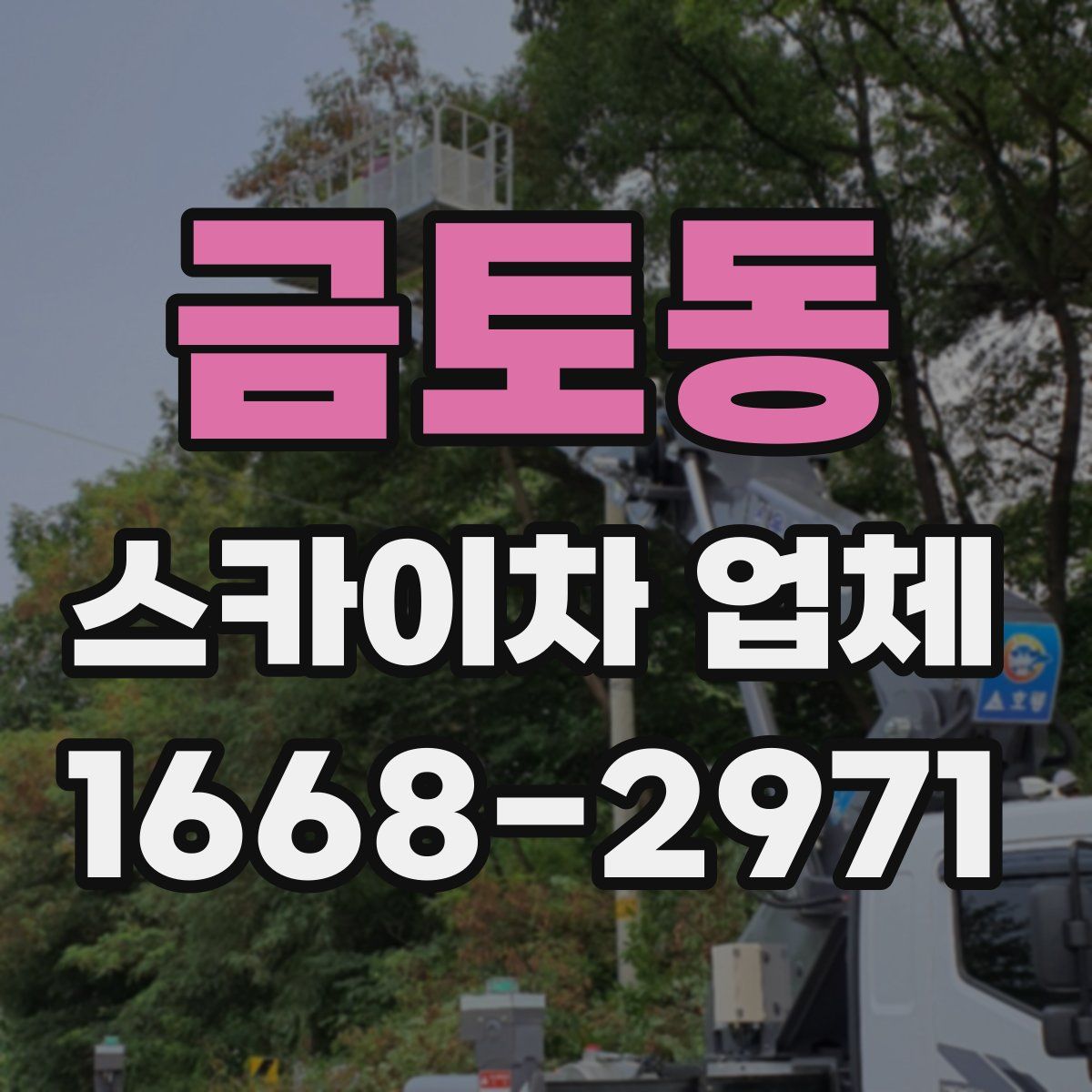 금토동 스카이차 업체