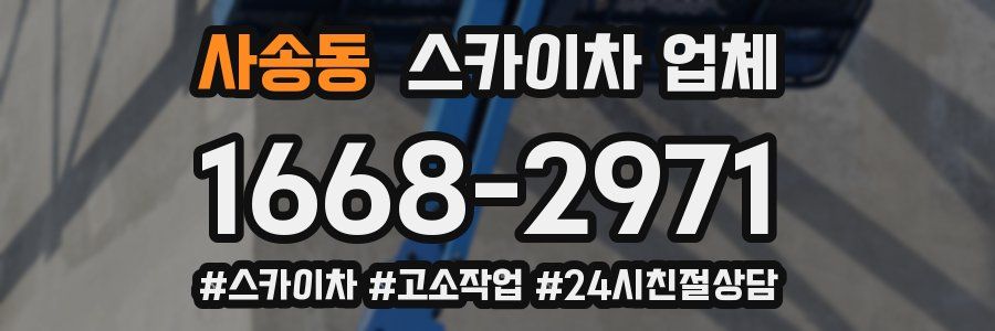 사송동 스카이차 업체