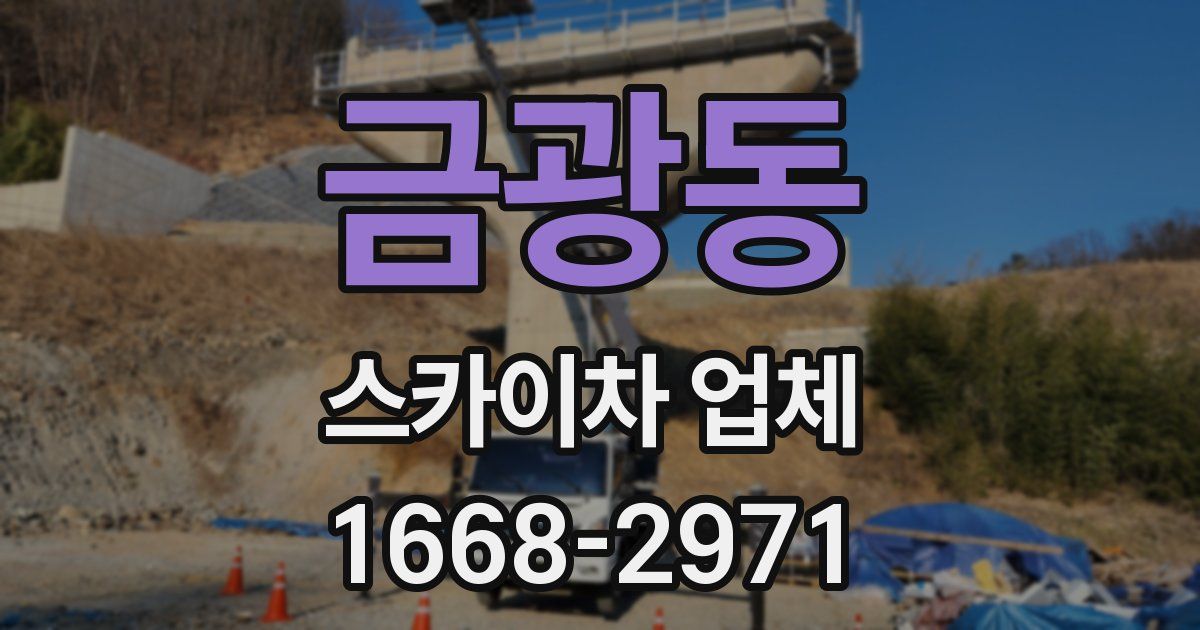 금광동 스카이차 업체