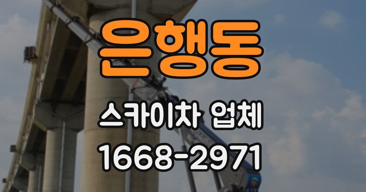 은행동 스카이차 업체