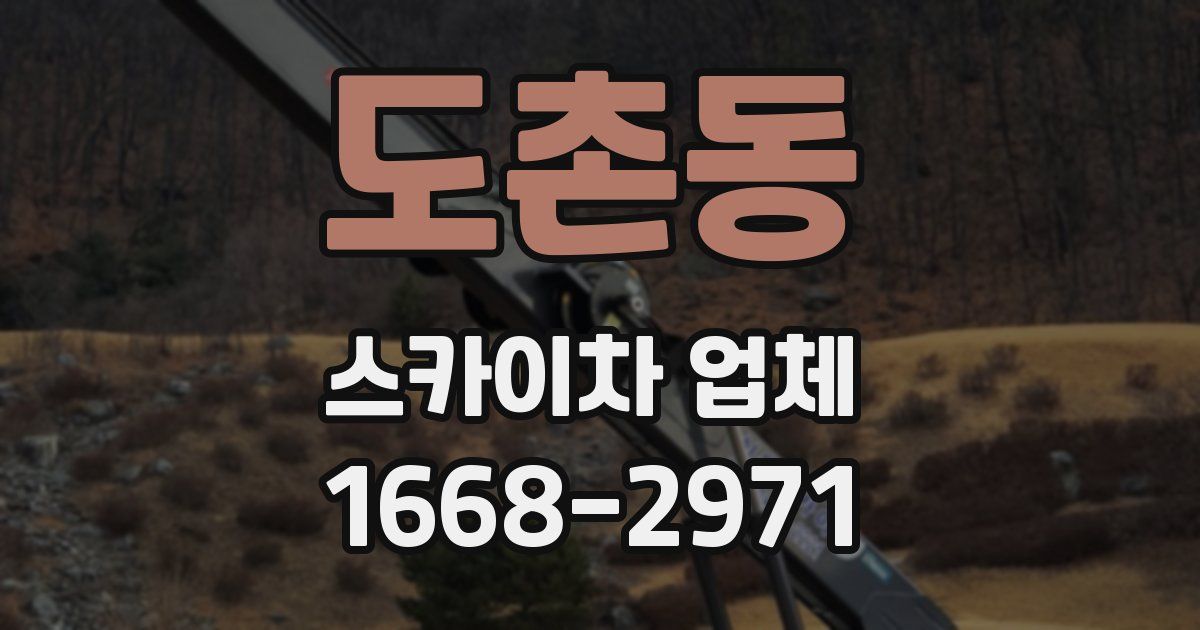 도촌동 스카이차 업체