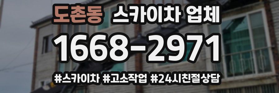 도촌동 스카이차 업체