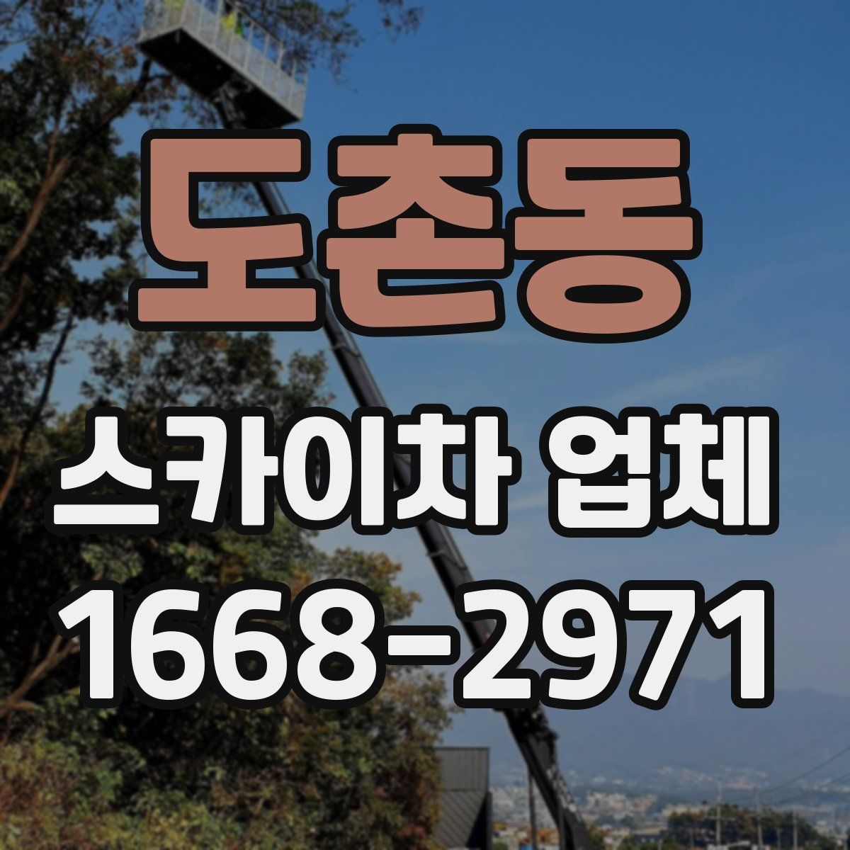 도촌동 스카이차 업체