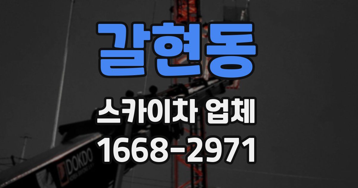 갈현동 스카이차 업체