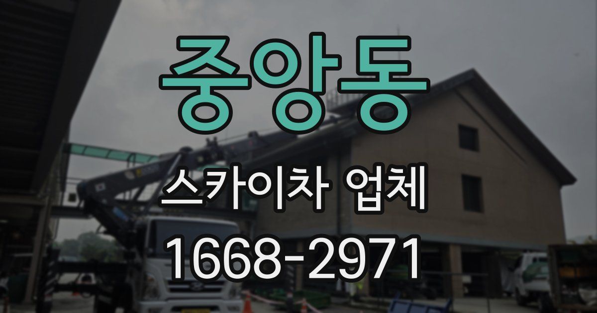 중앙동 스카이차 업체