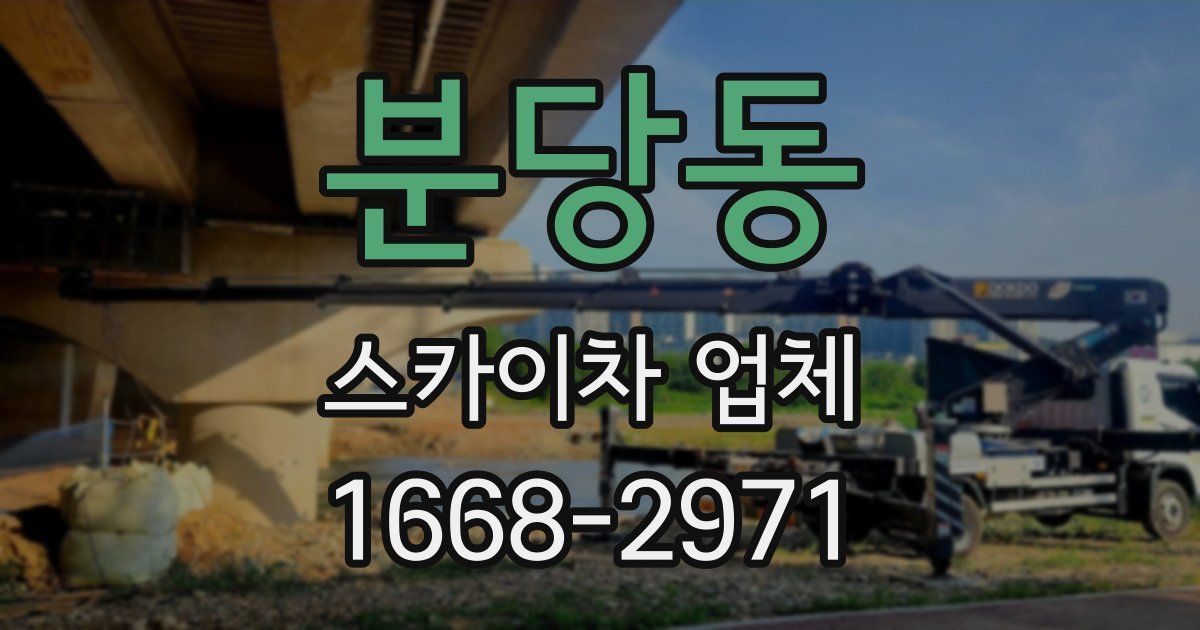 분당동 스카이차 업체