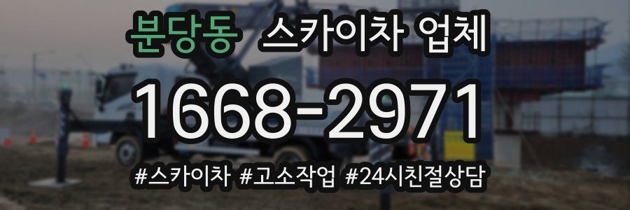 분당동 스카이차 업체