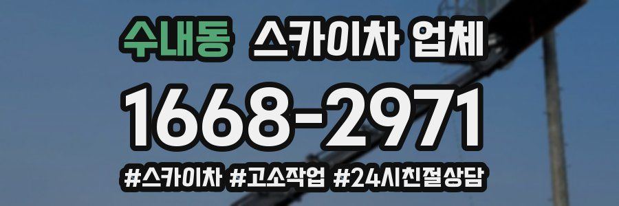 수내동 스카이차 업체