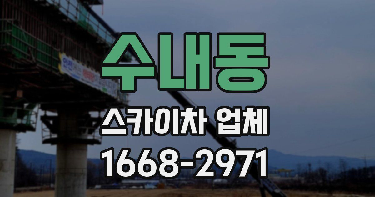 수내동 스카이차 업체