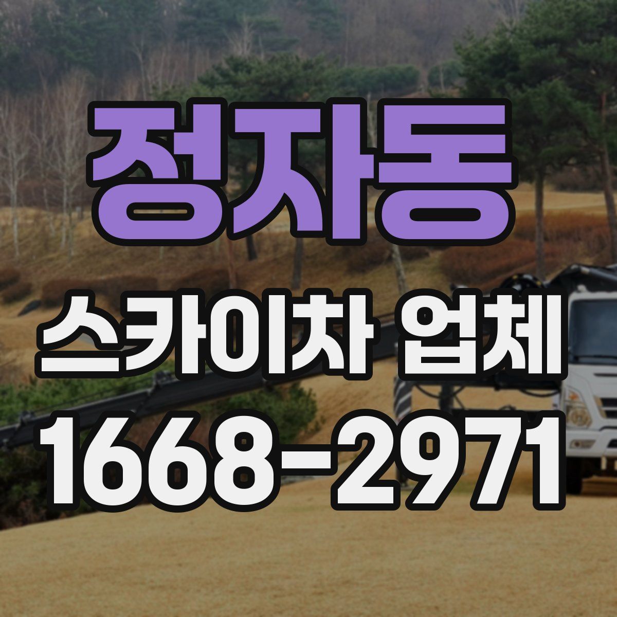 정자동 스카이차 업체