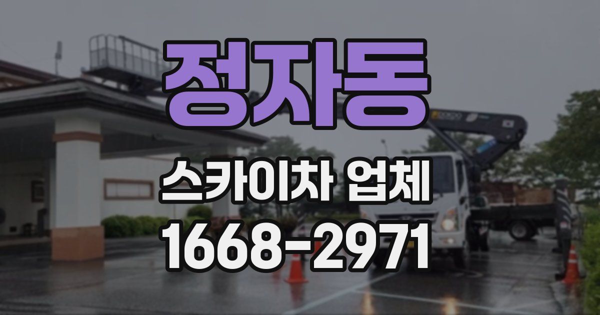 정자동 스카이차 업체