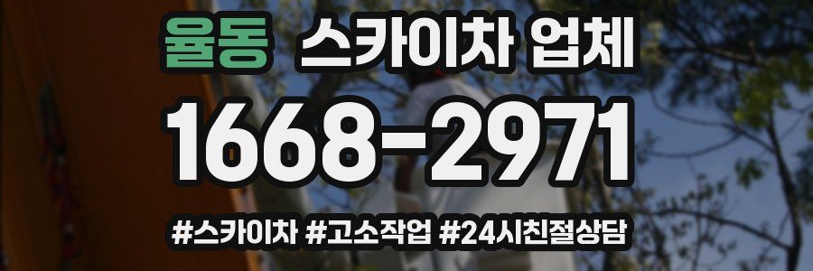 율동 스카이차 업체