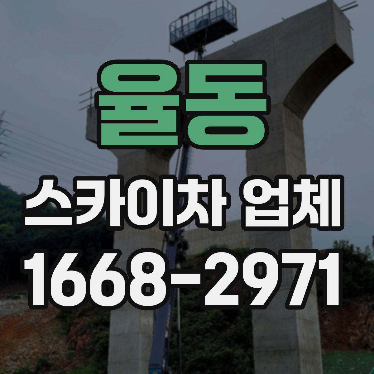율동 스카이차 업체