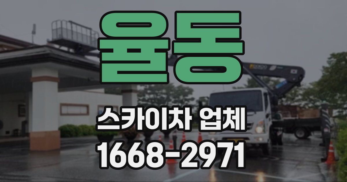 율동 스카이차 업체