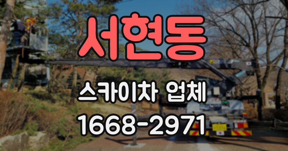 서현동 스카이차 업체