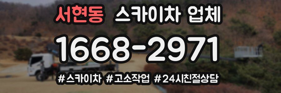 서현동 스카이차 업체