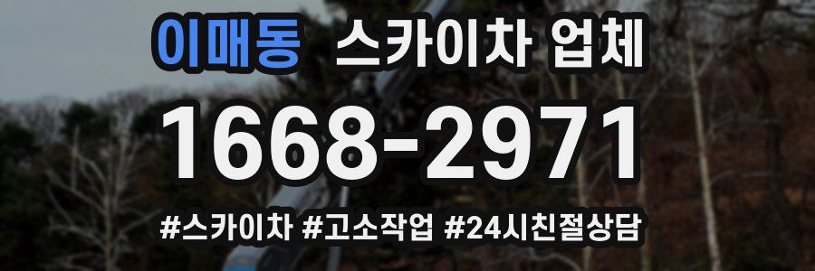 이매동 스카이차 업체