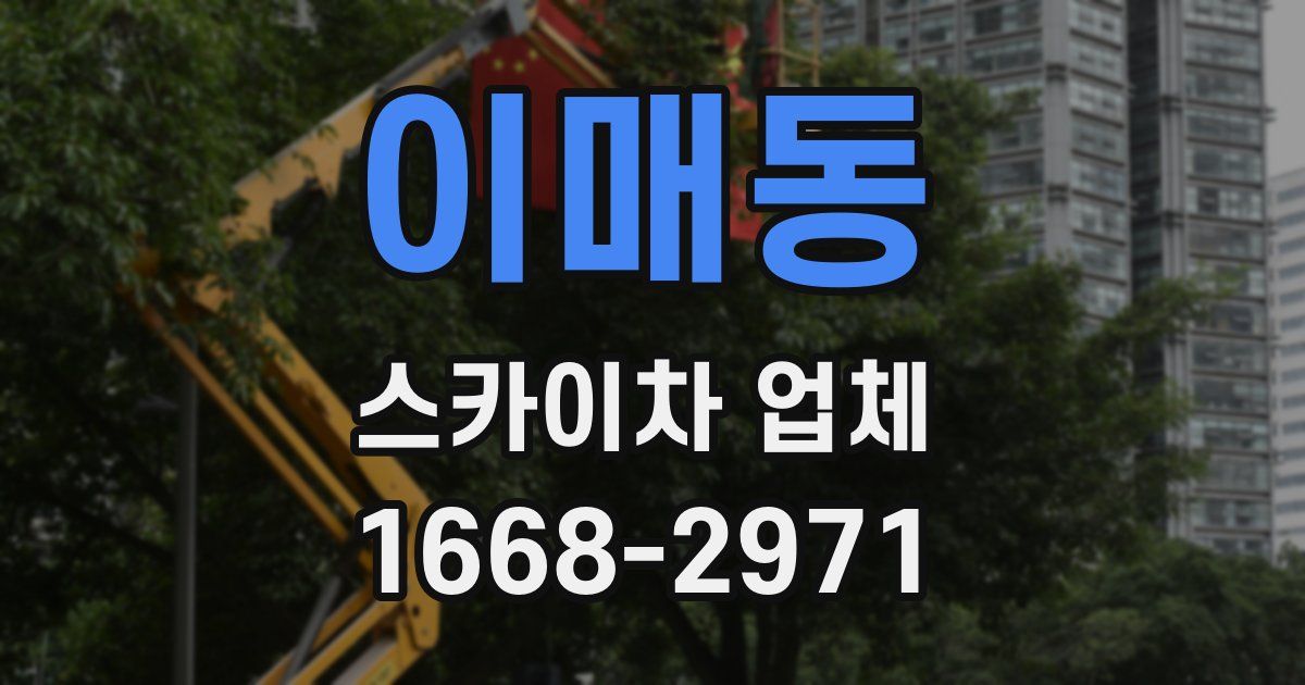 이매동 스카이차 업체