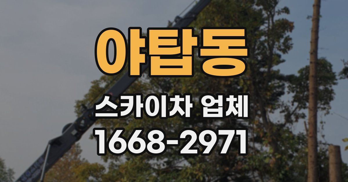 야탑동 스카이차 업체