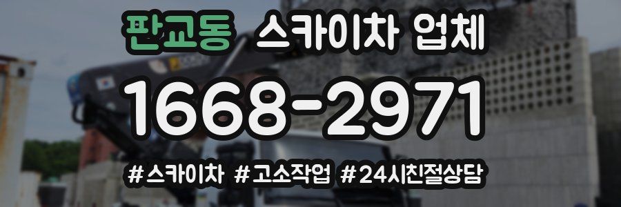 판교동 스카이차 업체