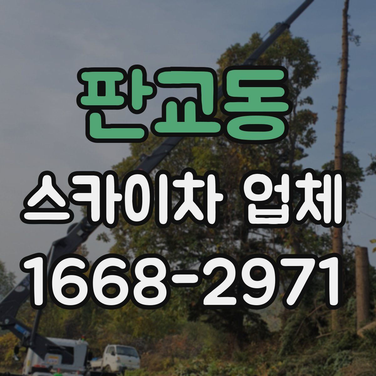 판교동 스카이차 업체