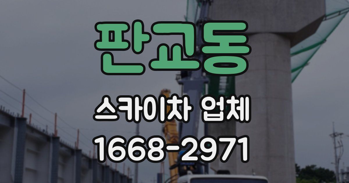 판교동 스카이차 업체
