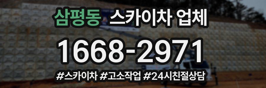 삼평동 스카이차 업체