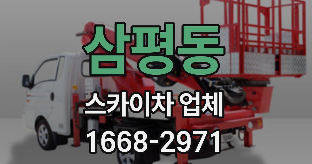 삼평동 스카이차 업체