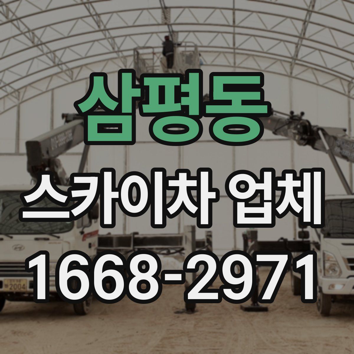 삼평동 스카이차 업체