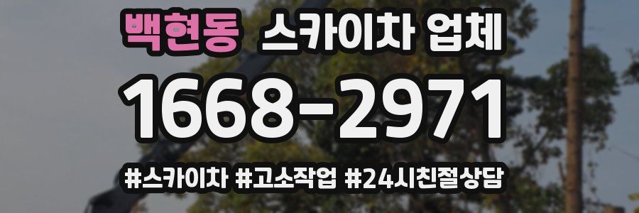 백현동 스카이차 업체