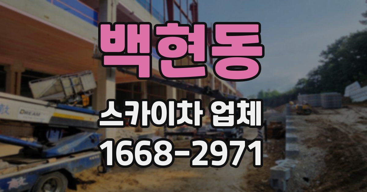백현동 스카이차 업체