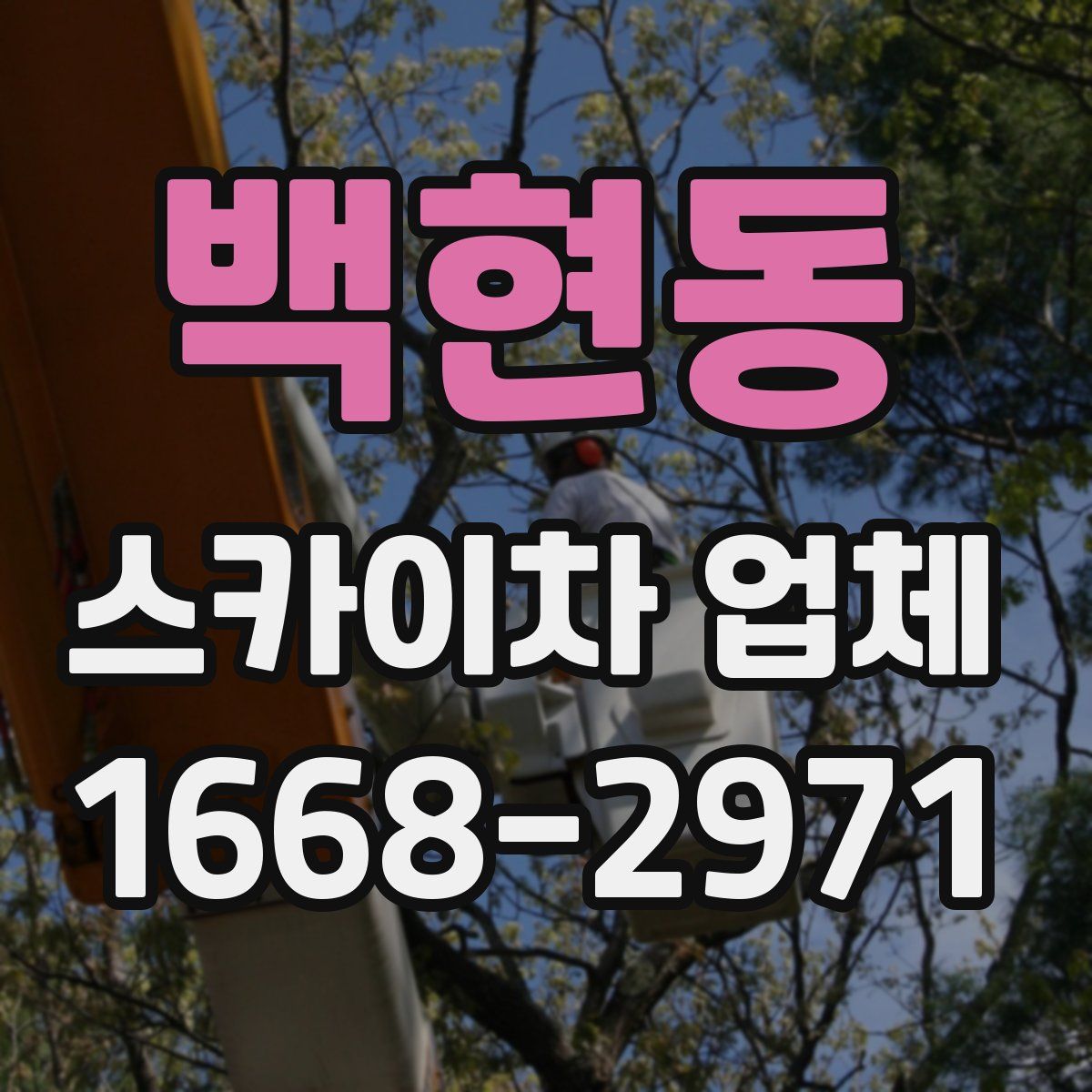 백현동 스카이차 업체