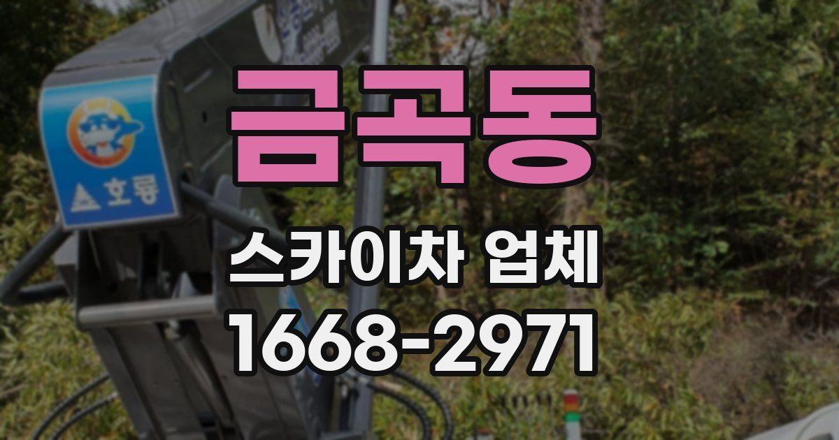 금곡동 스카이차 업체