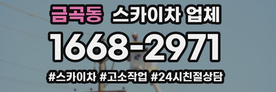 금곡동 스카이차 업체